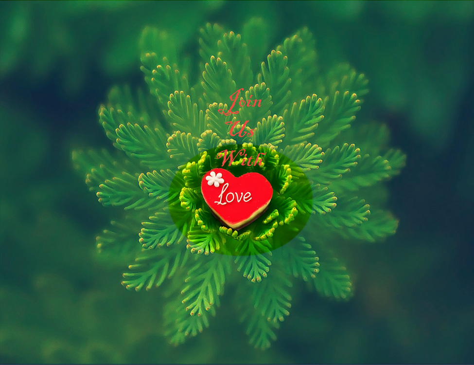 Green leafs with Love heart